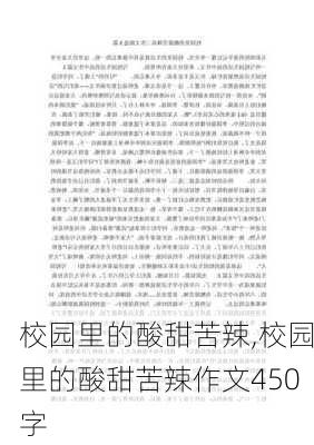 校园里的酸甜苦辣,校园里的酸甜苦辣作文450字-第1张图片-二喜范文网