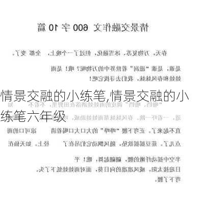 情景交融的小练笔,情景交融的小练笔六年级-第1张图片-二喜范文网