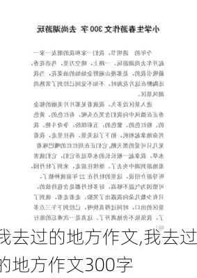 我去过的地方作文,我去过的地方作文300字-第2张图片-二喜范文网