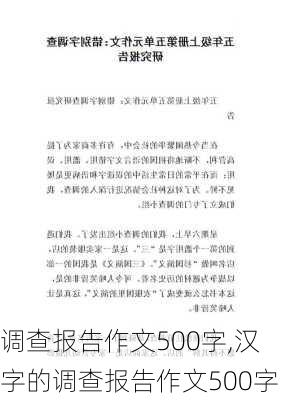 调查报告作文500字,汉字的调查报告作文500字-第2张图片-二喜范文网