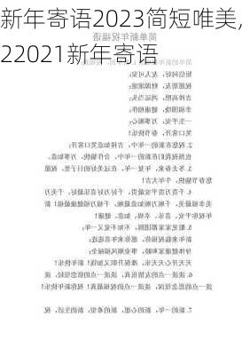 新年寄语2023简短唯美,22021新年寄语-第1张图片-二喜范文网