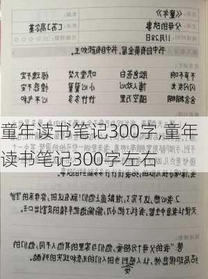 童年读书笔记300字,童年读书笔记300字左右-第1张图片-二喜范文网