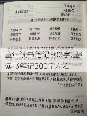 童年读书笔记300字,童年读书笔记300字左右-第3张图片-二喜范文网