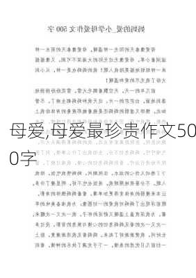 母爱,母爱最珍贵作文500字-第2张图片-二喜范文网