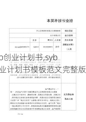 syb创业计划书,syb创业计划书模板范文完整版-第1张图片-二喜范文网