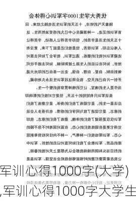 军训心得1000字(大学),军训心得1000字大学生-第2张图片-二喜范文网