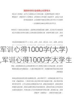 军训心得1000字(大学),军训心得1000字大学生-第3张图片-二喜范文网