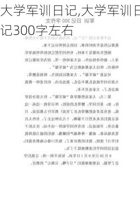 大学军训日记,大学军训日记300字左右-第2张图片-二喜范文网