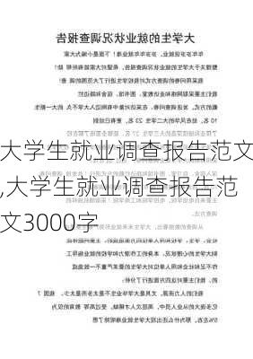 大学生就业调查报告范文,大学生就业调查报告范文3000字