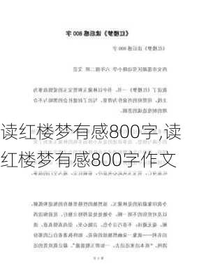 读红楼梦有感800字,读红楼梦有感800字作文-第3张图片-二喜范文网