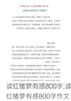 读红楼梦有感800字,读红楼梦有感800字作文-第1张图片-二喜范文网