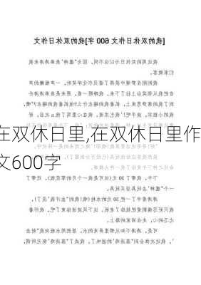 在双休日里,在双休日里作文600字-第3张图片-二喜范文网