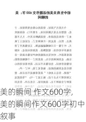 美的瞬间 作文600字,美的瞬间作文600字初中叙事-第2张图片-二喜范文网