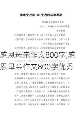 感恩母亲作文800字,感恩母亲作文800字优秀-第2张图片-二喜范文网