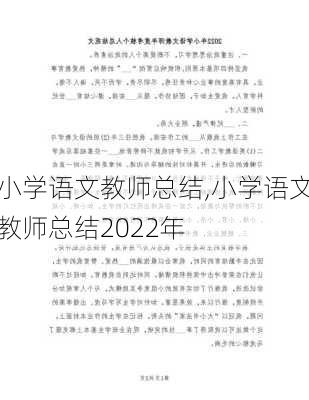 小学语文教师总结,小学语文教师总结2022年-第1张图片-二喜范文网