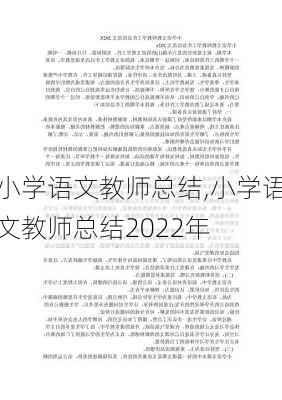 小学语文教师总结,小学语文教师总结2022年-第2张图片-二喜范文网