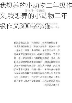 我想养的小动物二年级作文,我想养的小动物二年级作文300字小猫-第1张图片-二喜范文网