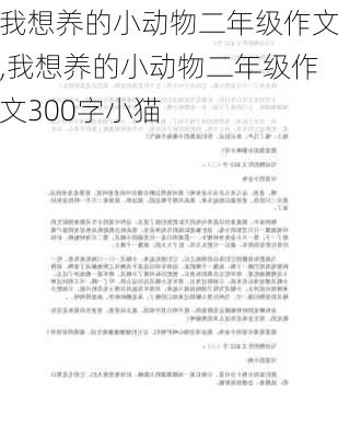 我想养的小动物二年级作文,我想养的小动物二年级作文300字小猫-第2张图片-二喜范文网