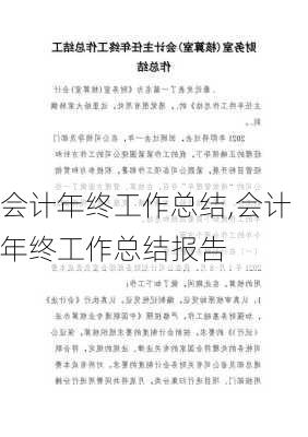 会计年终工作总结,会计年终工作总结报告-第2张图片-二喜范文网