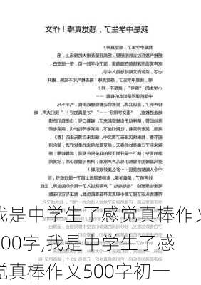 我是中学生了感觉真棒作文500字,我是中学生了感觉真棒作文500字初一-第1张图片-二喜范文网