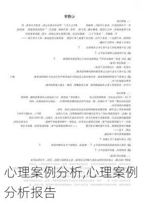 心理案例分析,心理案例分析报告-第2张图片-二喜范文网