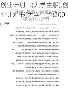 创业计划书(大学生版),创业计划书(大学生版)2000字-第2张图片-二喜范文网