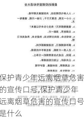 保护青少年远离烟草危害的宣传口号,保护青少年远离烟草危害的宣传口号是什么-第1张图片-二喜范文网