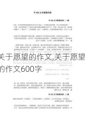 关于愿望的作文,关于愿望的作文600字-第3张图片-二喜范文网