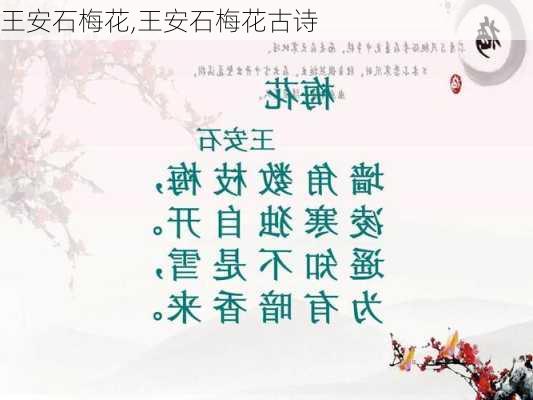 王安石梅花,王安石梅花古诗-第2张图片-二喜范文网