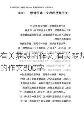 有关梦想的作文,有关梦想的作文800字-第3张图片-二喜范文网