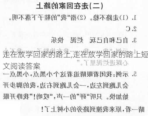 走在放学回家的路上,走在放学回家的路上短文阅读答案