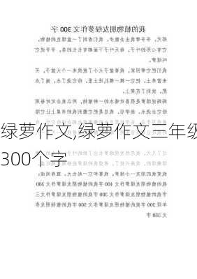 绿萝作文,绿萝作文三年级300个字-第1张图片-二喜范文网