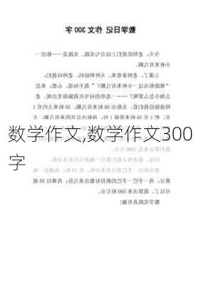 数学作文,数学作文300字