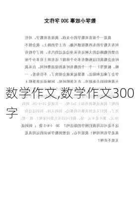 数学作文,数学作文300字-第2张图片-二喜范文网