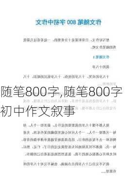 随笔800字,随笔800字初中作文叙事-第1张图片-二喜范文网