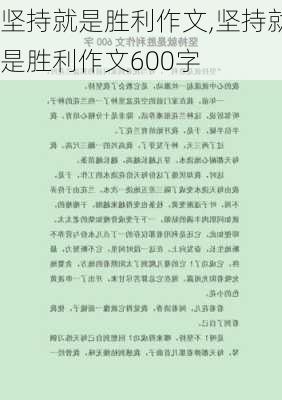 坚持就是胜利作文,坚持就是胜利作文600字-第2张图片-二喜范文网