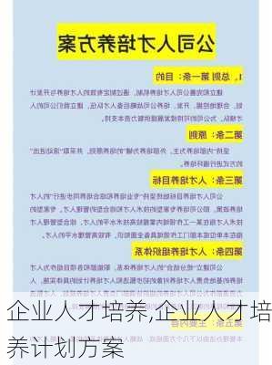 企业人才培养,企业人才培养计划方案-第3张图片-二喜范文网