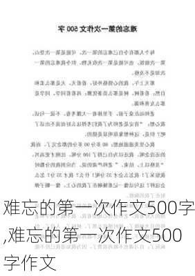 难忘的第一次作文500字,难忘的第一次作文500字作文-第1张图片-二喜范文网