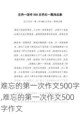 难忘的第一次作文500字,难忘的第一次作文500字作文-第2张图片-二喜范文网