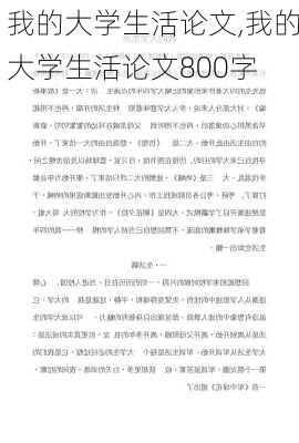 我的大学生活论文,我的大学生活论文800字