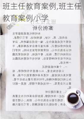 班主任教育案例,班主任教育案例小学-第2张图片-二喜范文网