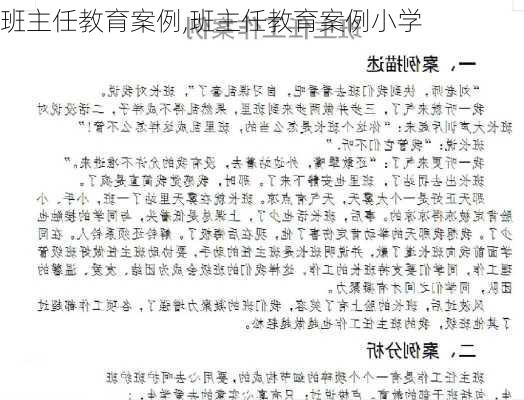 班主任教育案例,班主任教育案例小学