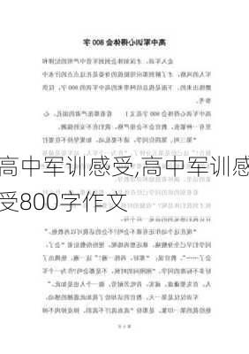 高中军训感受,高中军训感受800字作文-第1张图片-二喜范文网