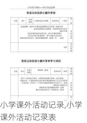 小学课外活动记录,小学课外活动记录表-第1张图片-二喜范文网