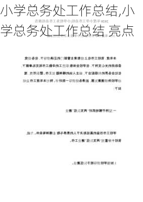 小学总务处工作总结,小学总务处工作总结 亮点-第3张图片-二喜范文网