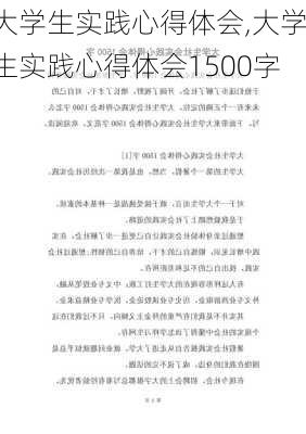 大学生实践心得体会,大学生实践心得体会1500字-第2张图片-二喜范文网