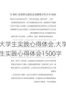 大学生实践心得体会,大学生实践心得体会1500字-第3张图片-二喜范文网