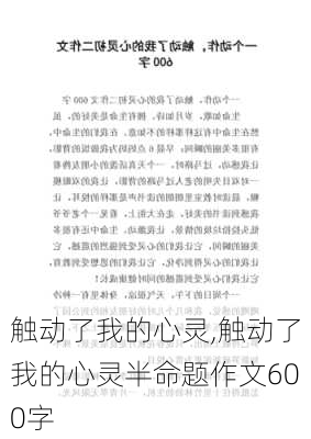 触动了我的心灵,触动了我的心灵半命题作文600字-第1张图片-二喜范文网