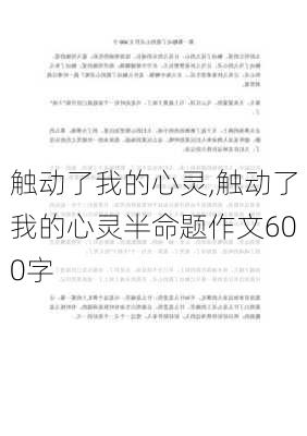 触动了我的心灵,触动了我的心灵半命题作文600字-第3张图片-二喜范文网