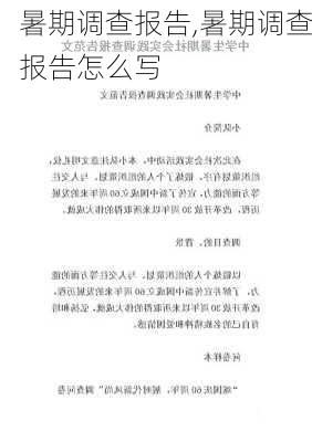 暑期调查报告,暑期调查报告怎么写-第1张图片-二喜范文网